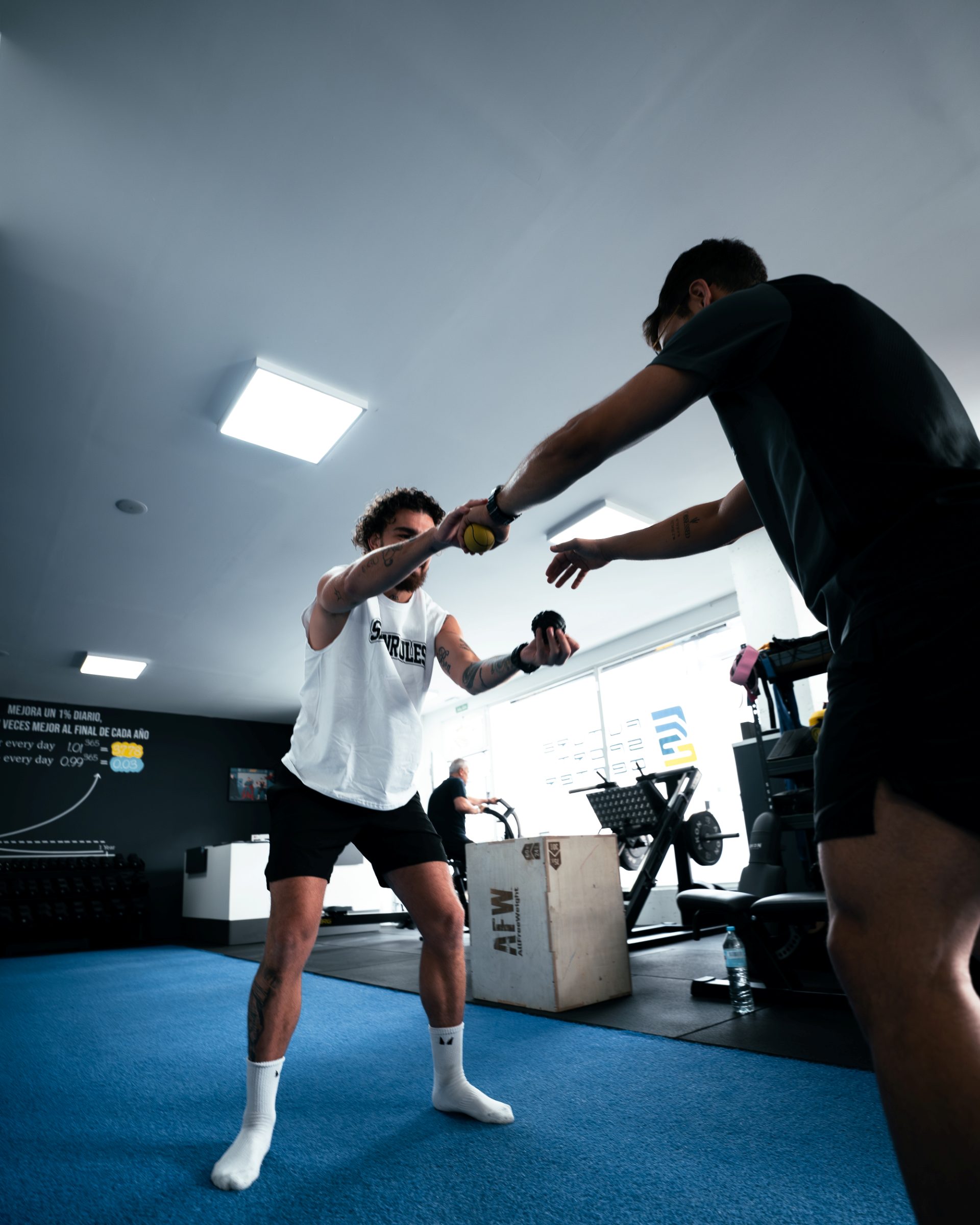 Entrenamiento Personal